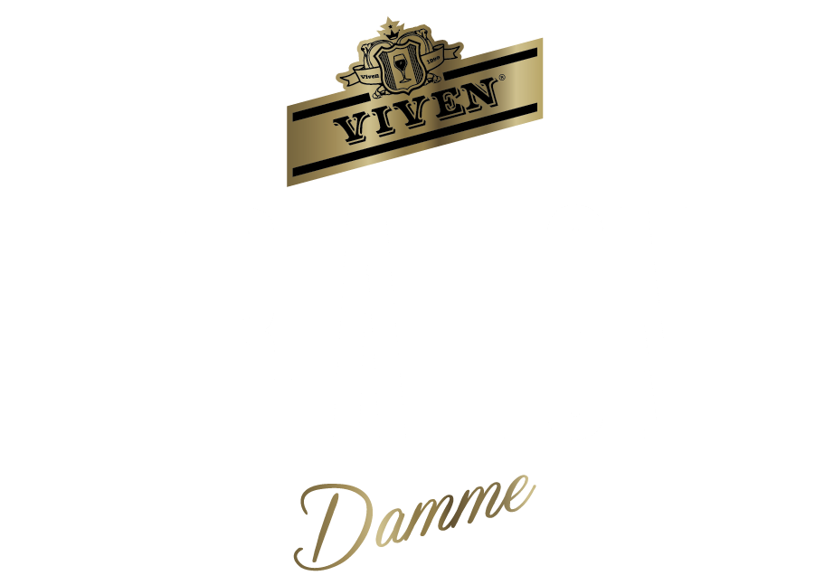 Logo Zawodów Viven triatlon Damme 2020